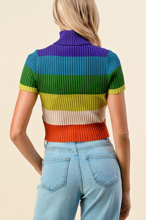 Rainbow Knit Crop Top