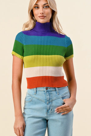 Rainbow Knit Crop Top